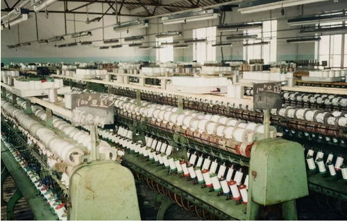 江蘇新首富易主 低調的陳建華，超越劉強東的商業傳奇